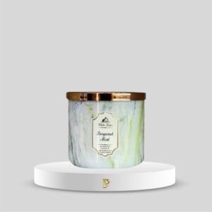 Vela Perfumada 3 Mechas Bergamot Mint de Bath & Body Works